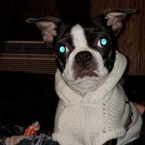 Meet your Posher, Vanessa